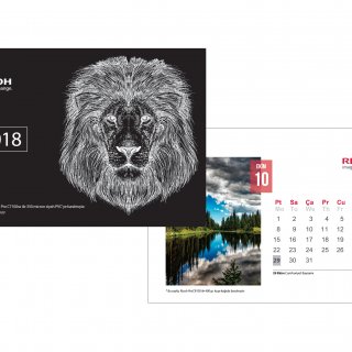 Ricoh 2018 Takvim Tasarımı